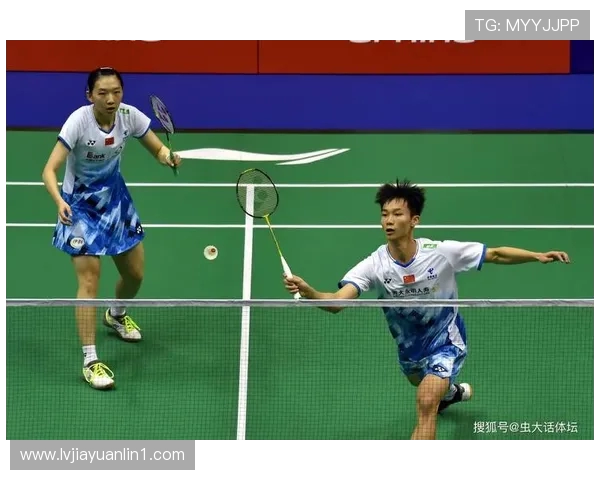 杭州羽毛球队总决赛精彩回顾与节奏表现分析